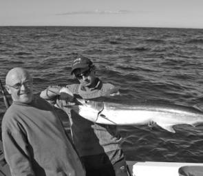 This marlin took a live bait meant for a tuna on Trekka.